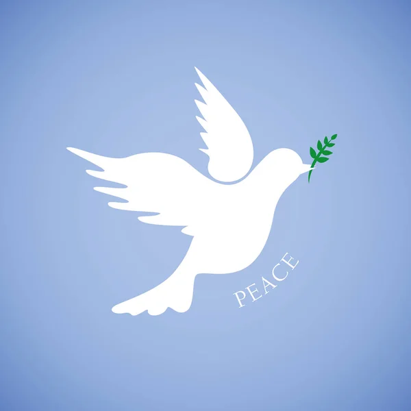 Paloma blanca para la paz sobre fondo azul — Vector de stock