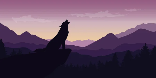 kurt, güzel mor dağ yaban hayatı doğa manzarası