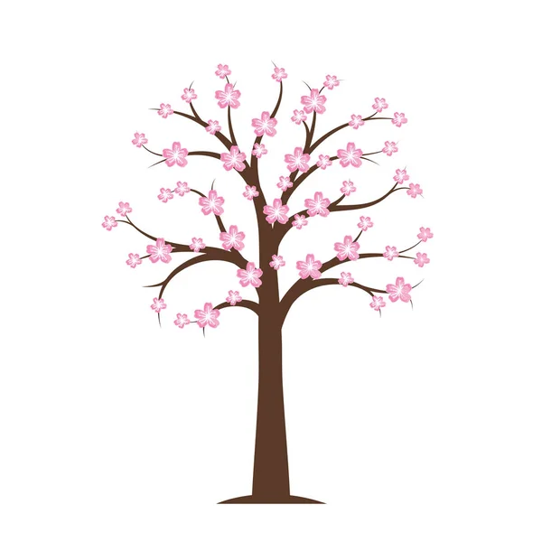 春に咲く桜の木をピンク — ストックベクタ