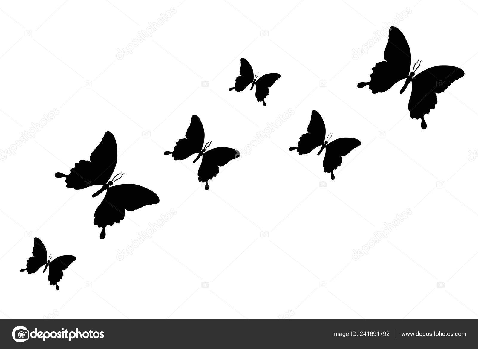 Download Set of black butterfly silhouette isolated on a white ...