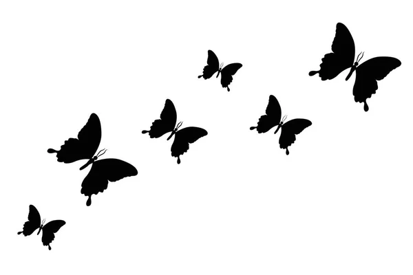 Zestaw sylwetka czarny motyl na białym tle na białym tle — Wektor stockowy