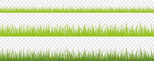 Verde hierba pradera frontera vector patrón isoladet — Vector de stock