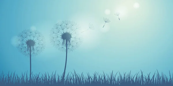 Dandelion silhouette on blue background with flying seeds — Stock Vector