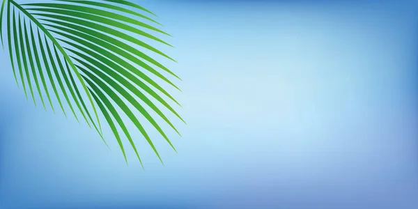 Groene palmtak op blauwe hemelachtergrond voor de zomer vakantie ontwerp — Stockvector