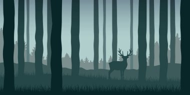 Yalnız geyik yeşil yaban hayatı doğa manzara orman