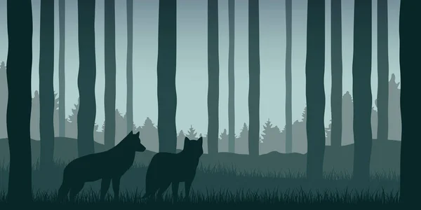 Dos lobos en el bosque verde fauna naturaleza paisaje — Vector de stock