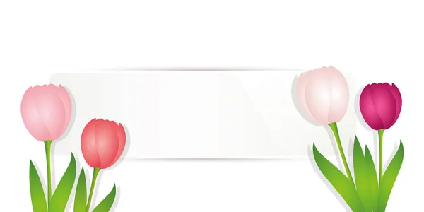 Etiqueta blanca en blanco con coloridos tulipanes diseño de primavera — Vector de stock
