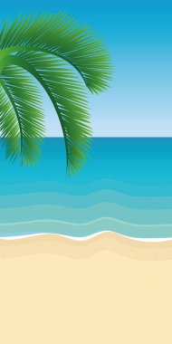 Palm beach yaz tatil arka plan ağaç yaprağına