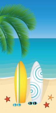 iki sörf tahtaları ve palm beach üzerinde güneş gözlüğü