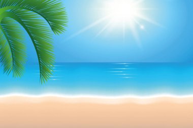 yaz tatil arka plan plaj güneş ışığı ve palmiye ağacı