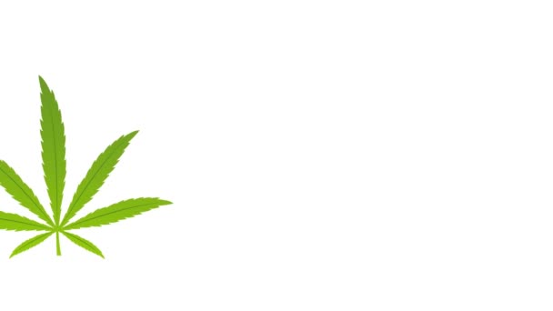 Aceite de cbd de cannabis medicinal con etiqueta natural — Vídeo de stock