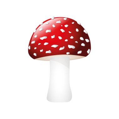 Beyaz arka plan üzerinde izole zehirli kırmızı sinek agaric