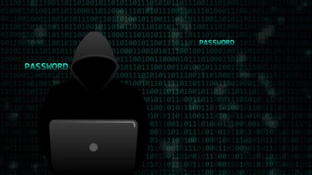 Dijital parolaları hacker çaldı — Stok video