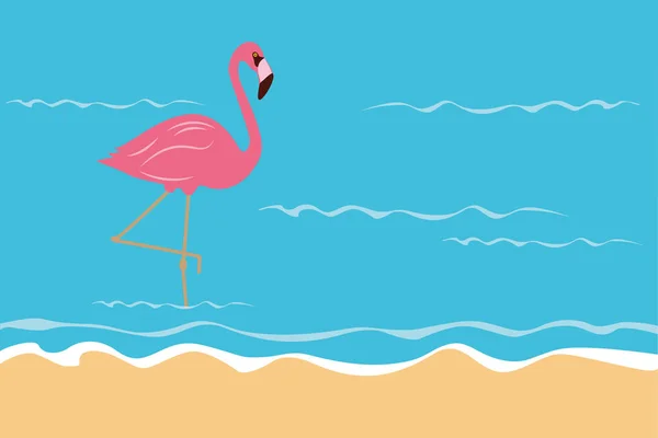 Roze tropische flamingo in het water op het strand — Stockvector