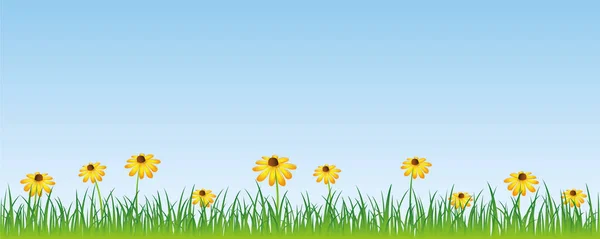 Lato łąka z żółtym kwiatów banner z kopią przestrzeni — Wektor stockowy