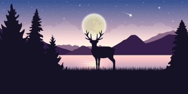 doğada yalnız yaban hayatı geyiği dolunay ve yıldızlı gökyüzü mistik manzara ile gece güzel göl