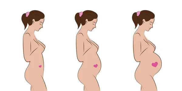 Donna incinta in attesa di trimestre bambino — Vettoriale Stock