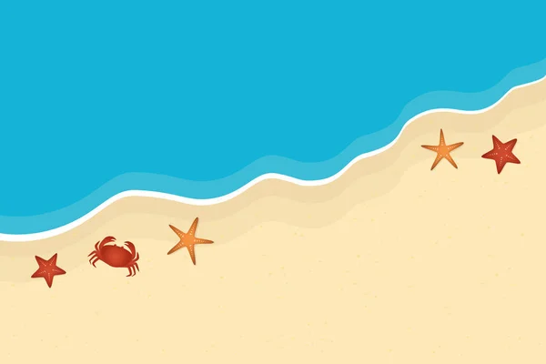 Spiaggia e oceano sfondo vacanza estiva con stelle marine e granchio — Vettoriale Stock
