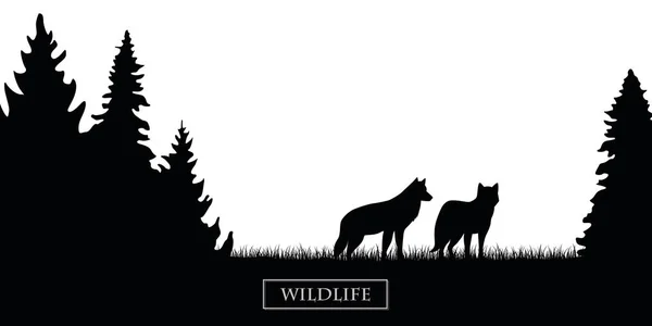 Två vilda vargar siluett i skogen på ängen svart och vitt — Stock vektor
