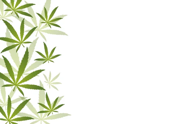 Hintergrund mit grünen Cannabisblättern — Stockvektor