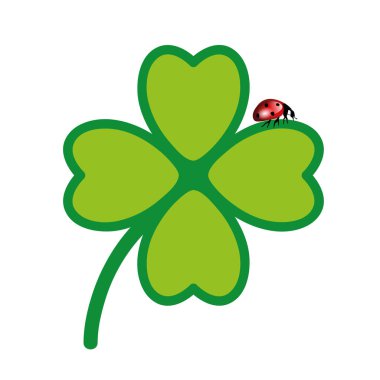 beyaz arka plan üzerinde izole bayan böcek ile yeşil yonca yaprağı