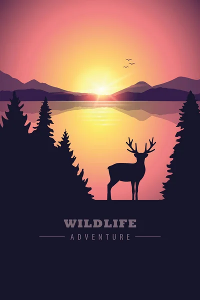 Wildlife adventure elk in the wilderness by the lake at sunset — Stock Vector