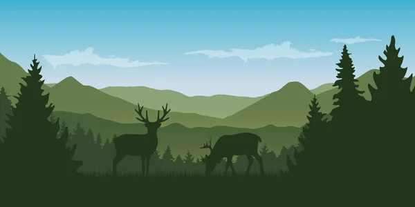 Duas renas da vida selvagem na paisagem verde da montanha e da floresta — Vetor de Stock