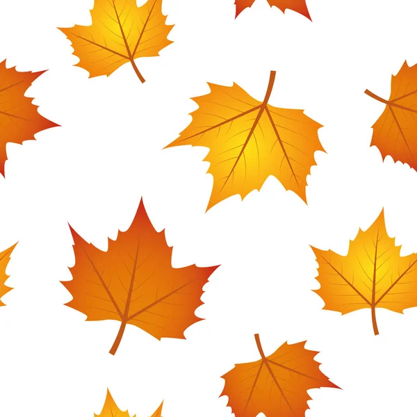 シームレス パターン秋の白い背景の上の葉します。 — ストックベクタ