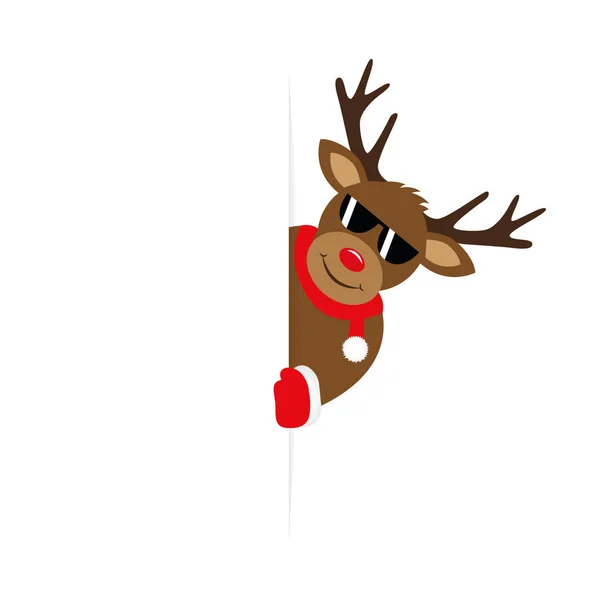 Cute reindeer with sunglasses looks around the corner — Stock Vector