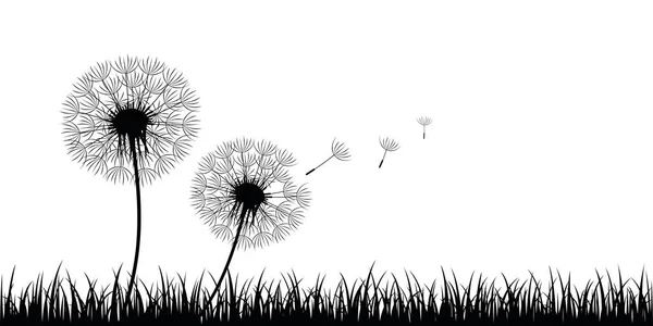 Two dandelion silhouette with flying seeds on meadow — ストックベクタ