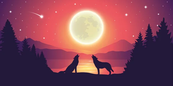 Δύο λύκοι δίπλα στη λίμνη ουρλιάζοντας στην πανσέληνο στον έναστρο ουρανό — Διανυσματικό Αρχείο