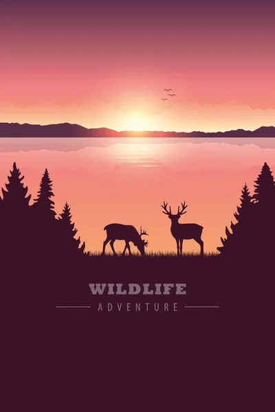 Wildlife Adventure Elch in der Wildnis am See bei Sonnenuntergang — Stockvektor