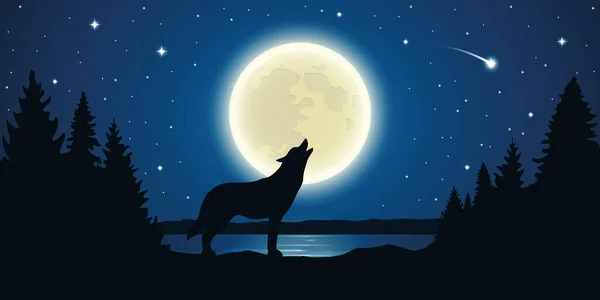 Lobo aulla a la luna llena en una noche estrellada — Vector de stock