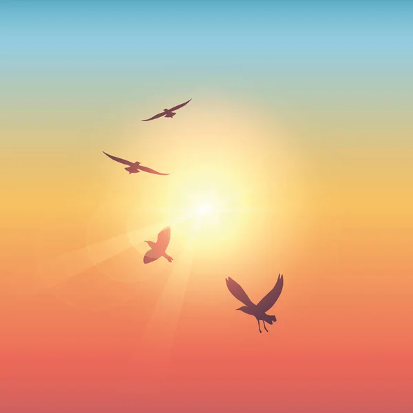 Oiseaux volants dans le ciel coloré ensoleillé — Image vectorielle