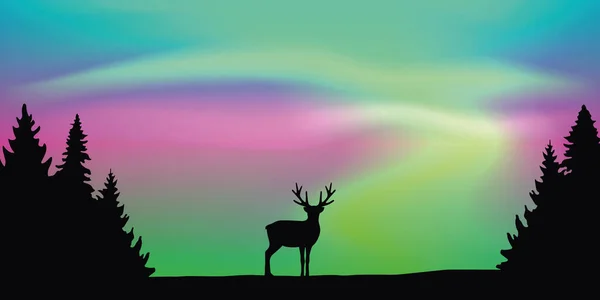 Wildlife deer on aurora borealis polar lights background — Stock Vector