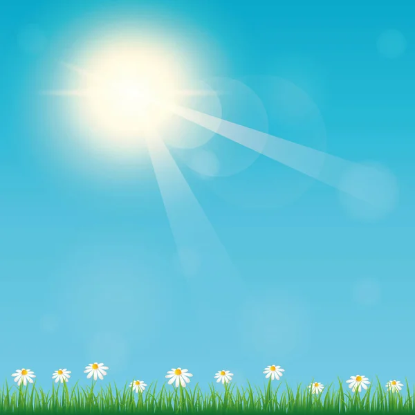 Heure d'été ciel ensoleillé fond avec prairie de fleurs — Image vectorielle