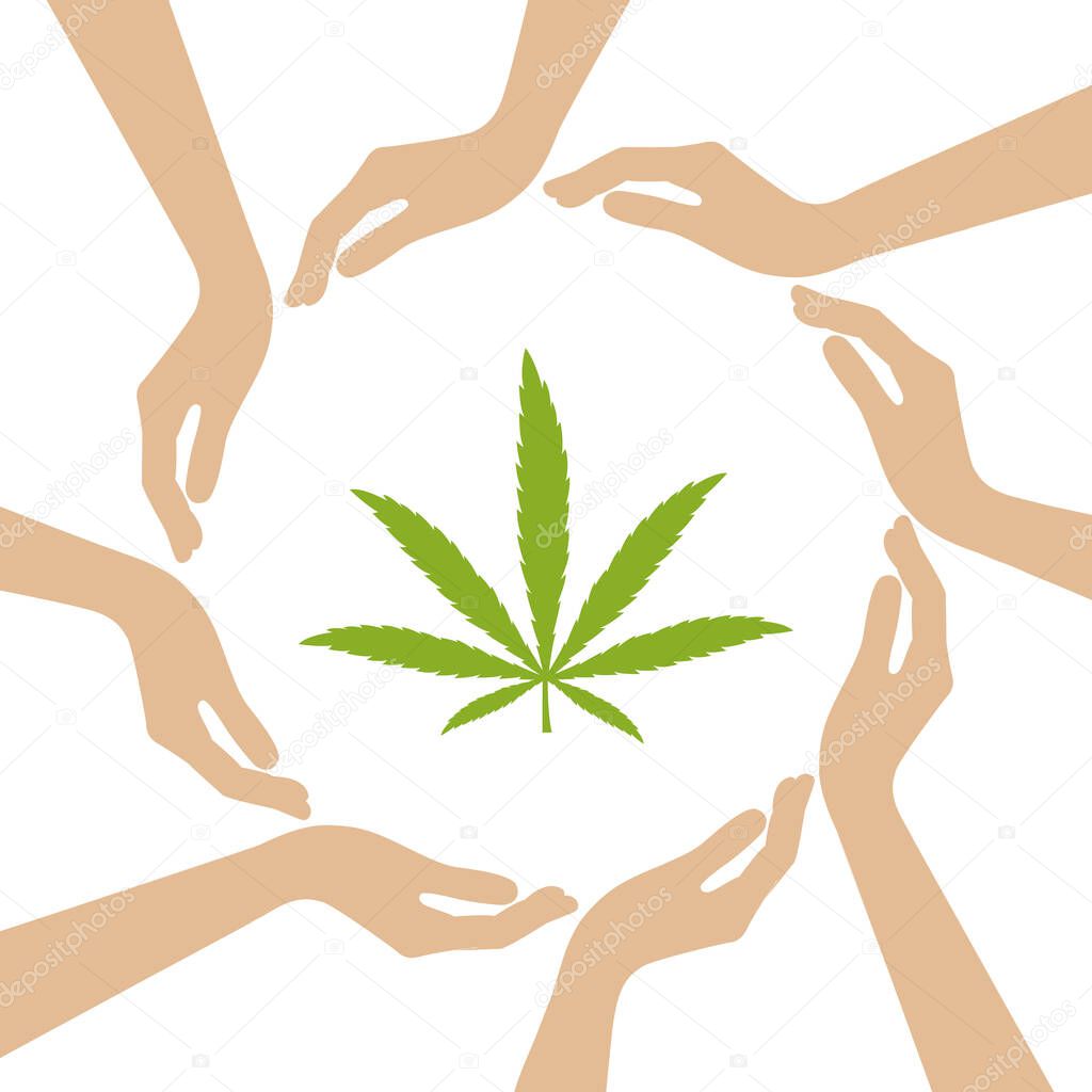 cannabis leaf in the middle of human hands