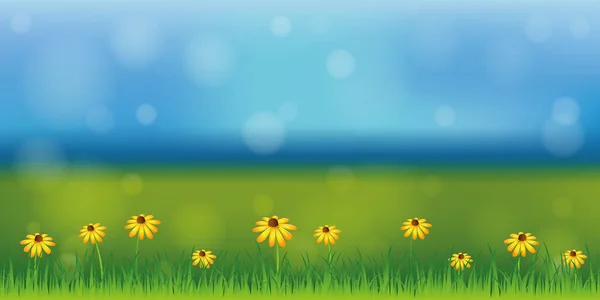 Slunečný jarní pozadí s sedmikráska květiny na zelené louce — Stockový vektor