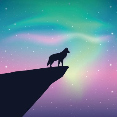 Vahşi yaşam kurtları yıldızlı gökyüzüne bakar Aurora Borealis ile