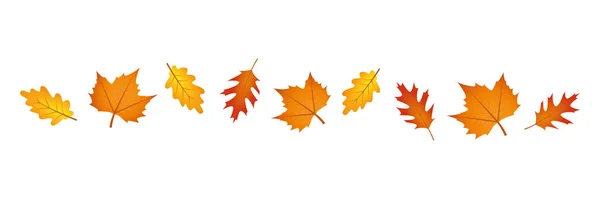 Set di foglie autunnali al vento su sfondo bianco — Vettoriale Stock