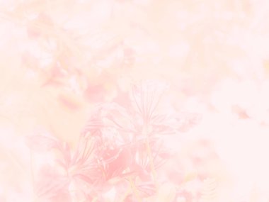 Soyut güzel pembe çiçekler portre desen doku doğa arka planı için.