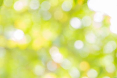 Renkli arka plan ve bulanık yeşil doğa bokeh.