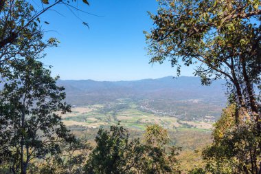 Pirinç alan ve küçük bir kasaba Vadisi orta Hill ve mavi gökyüzü arka plan ile ön plan ağaçlarda manzara doğa.