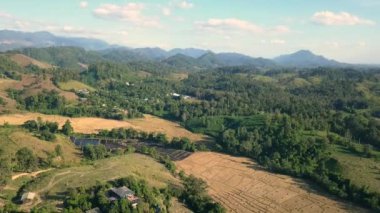 Hava manzarası, dağların ve ormanın üzerinde uçmak, gün doğumunda güzel bulutlar ve gökyüzü, hava kameralı kuş bakışı manzara.