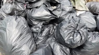 Plastik çöp torbaları etrafında hareket çöp kamyonu koymadan önce yığını bir araya koymak. Sıralanacak, ortadan kaldırılacak veya geri dönüştürülecek.