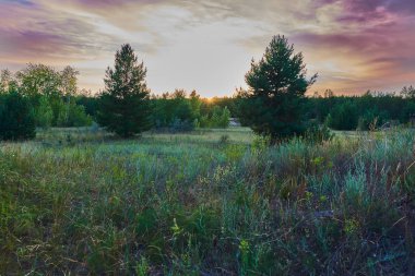 Ormanın kenarında.. günbatımı