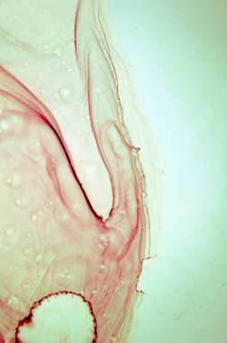 Modern tarz trendler. Mor arka planda sıvı mürekkep. Mürekkep, boya, soyut. Tabloya yakın çekim. Renkli soyut resim arkaplanı. Yüksek desenli yağlı boya. Yüksek kaliteli detaylar.