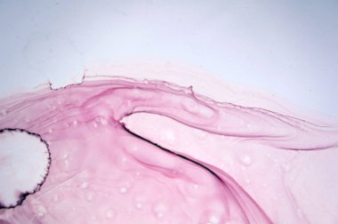 Modern tarz trendler. Mor arka planda sıvı mürekkep. Mürekkep, boya, soyut. Tabloya yakın çekim. Renkli soyut resim arkaplanı. Yüksek desenli yağlı boya. Yüksek kaliteli detaylar.