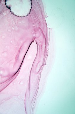 Mürekkep, boya, soyut. Tabloya yakın çekim. Renkli soyut resim arkaplanı. Yüksek desenli yağlı boya. Yüksek kalite detaylar. Alkol mürekkebi modern soyut resim, modern modern sanat.