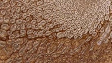 Bakır ve altından oluşan soyut bir alaşım. 